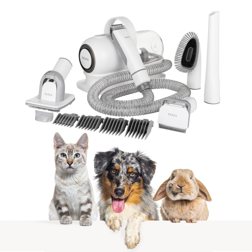 TESLA Electronics PetCare - Set za negu krzna kućnih ljubimaca 300W/230V