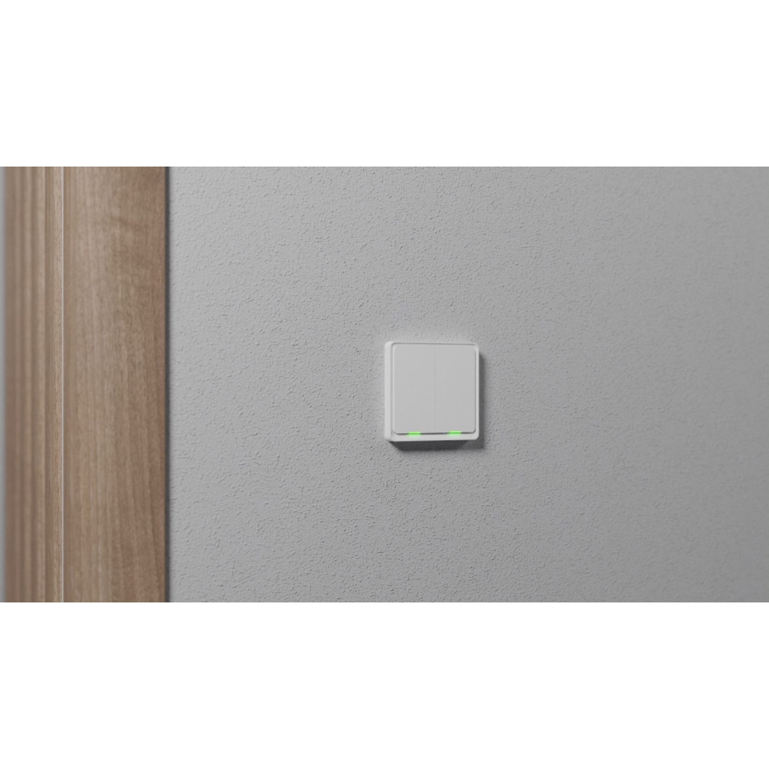 TESLA Smart - Pametni kućni prekidač 2P 230V Zigbee