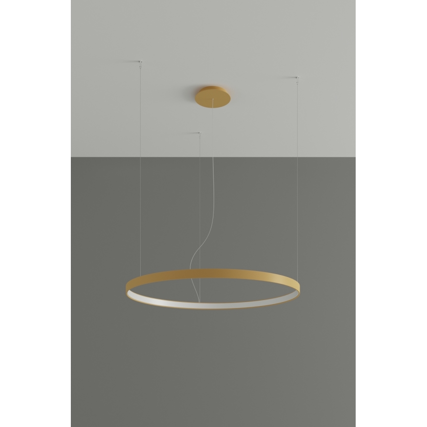 Thoro TH.217 - LED luster na sajli RIO LED/30W/230V CRI 95 4000K, prečnik 55 cm, zlatne boje