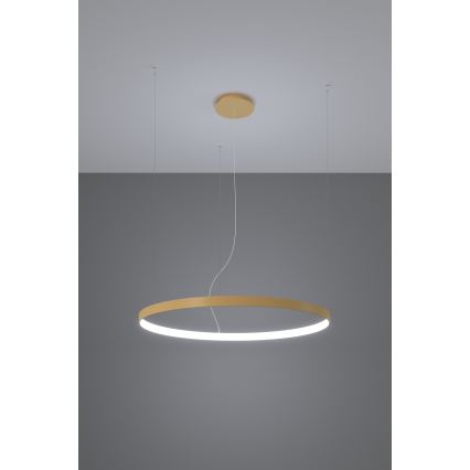 Thoro TH.217 - LED luster na sajli RIO LED/30W/230V CRI 95 4000K, prečnik 55 cm, zlatne boje