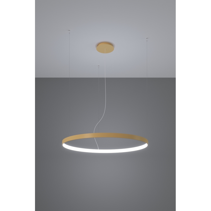 Thoro TH.217 - LED luster na sajli RIO LED/30W/230V CRI 95 4000K, prečnik 55 cm, zlatne boje