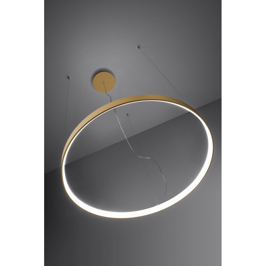 Thoro TH.217 - LED luster na sajli RIO LED/30W/230V CRI 95 4000K, prečnik 55 cm, zlatne boje