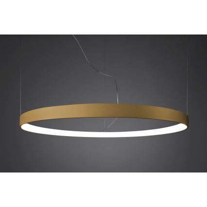 Thoro TH.217 - LED luster na sajli RIO LED/30W/230V CRI 95 4000K, prečnik 55 cm, zlatne boje