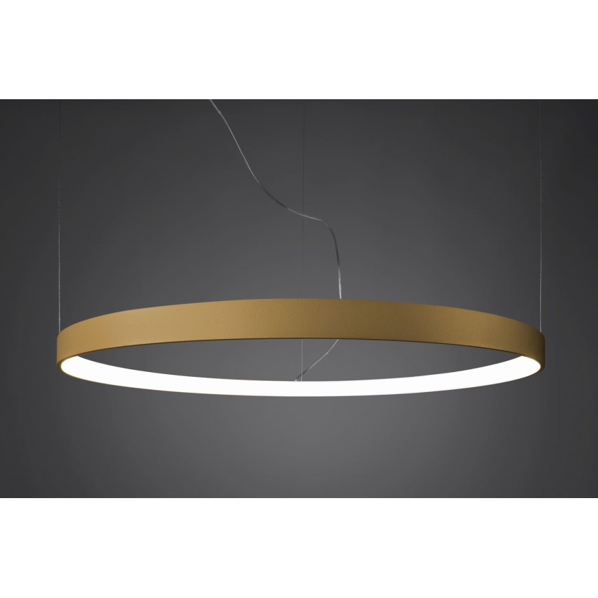 Thoro TH.217 - LED luster na sajli RIO LED/30W/230V CRI 95 4000K, prečnik 55 cm, zlatne boje