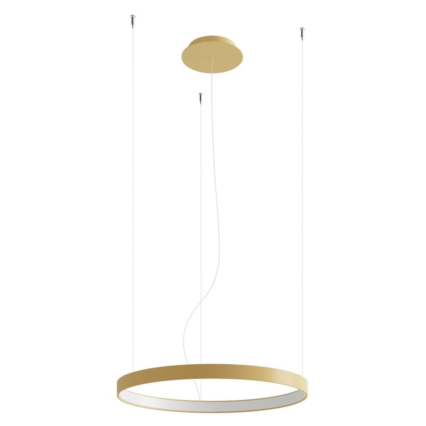 Thoro TH.217 - LED luster na sajli RIO LED/30W/230V CRI 95 4000K, prečnik 55 cm, zlatne boje