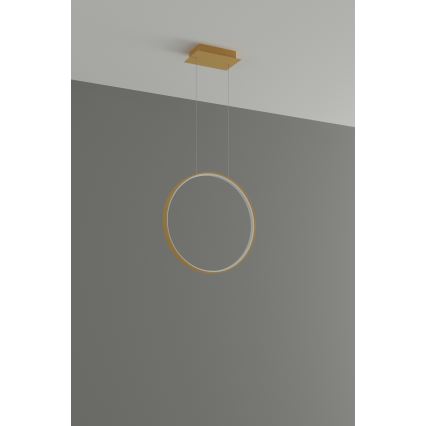Thoro TH.221 - LED luster na sajli RIO LED/30W/230V CRI 95 4000K, prečnika 55 cm, zlatna