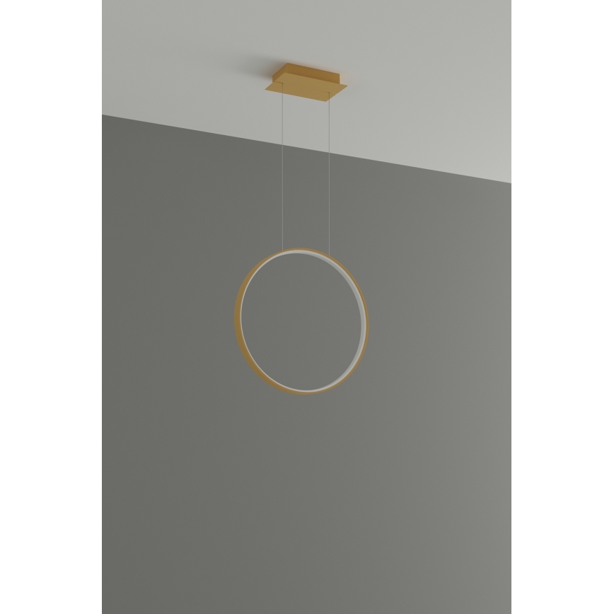 Thoro TH.221 - LED luster na sajli RIO LED/30W/230V CRI 95 4000K, prečnika 55 cm, zlatna