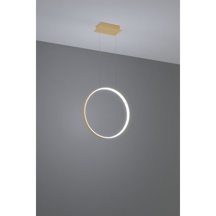 Thoro TH.221 - LED luster na sajli RIO LED/30W/230V CRI 95 4000K, prečnika 55 cm, zlatna