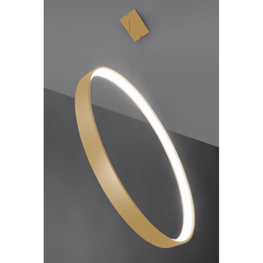 Thoro TH.221 - LED luster na sajli RIO LED/30W/230V CRI 95 4000K, prečnika 55 cm, zlatna