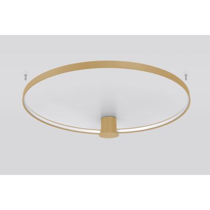 Thoro TH.222 - LED plafonska lampa RIO LED/21W/230V CRI 98 3000K prečnik 55 cm zlatna