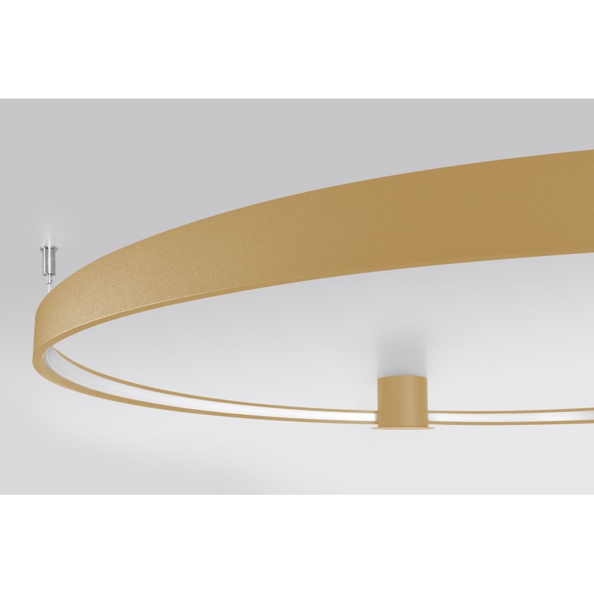 Thoro TH.222 - LED plafonska lampa RIO LED/21W/230V CRI 98 3000K prečnik 55 cm zlatna