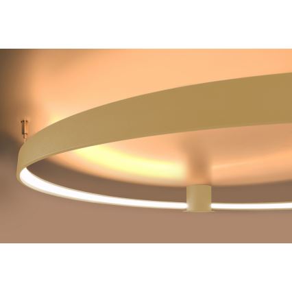 Thoro TH.222 - LED plafonska lampa RIO LED/21W/230V CRI 98 3000K prečnik 55 cm zlatna