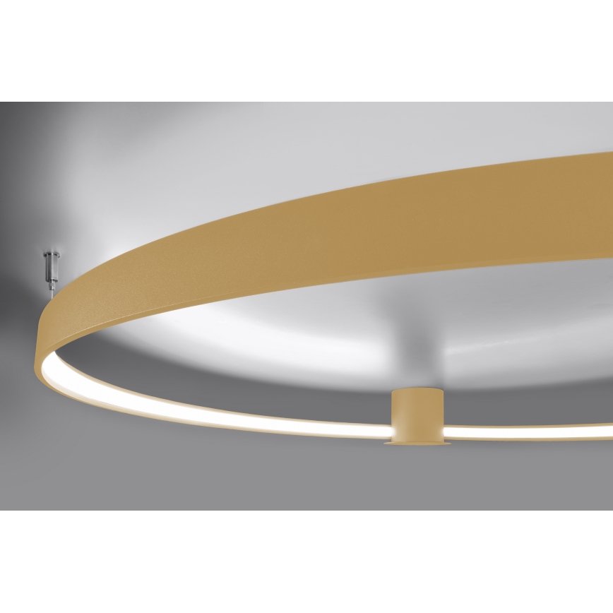 Thoro TH.223 - LED plafonsko svetlo RIO LED/30W/230V CRI 98 4000K prečnik 55 cm zlatna