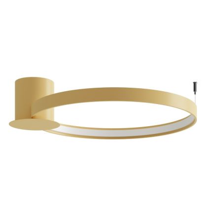 Thoro TH.223 - LED plafonsko svetlo RIO LED/30W/230V CRI 98 4000K prečnik 55 cm zlatna