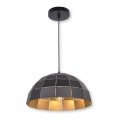Top Light Apolo 30C - Luster na sajli APOLO 1xE27/40W/230V zlatni/crni