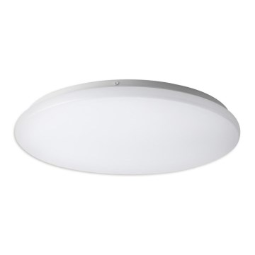 Top Light DUNAJ K 50 - LED plafonsko svetlo DUNAJ LED/36W/230V 4000K