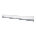 Top Light - LED kupatilsko zidno svetlo DAKOTA XL LED/14W/230V IP44