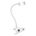 Top Light - LED prigušiva dodirna stona lampa sa klipsom BELLA LED/4,8W/5V 3000-6500K bela