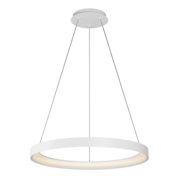 Top Light - LED prigušiva luster na sajli ORBIT LED/40W/230V 3000-6500K prečnik 50 cm bela + daljinski upravljač