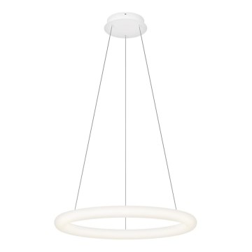 Top Light - LED prigušiva luster na sajli RINGO LED/40W/230V 3000-6500K bela + daljinski upravljač