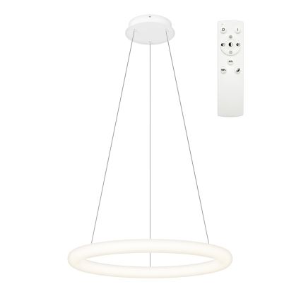 Top Light - LED prigušiva luster na sajli RINGO LED/40W/230V 3000-6500K bela + daljinski upravljač