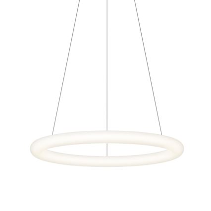 Top Light - LED prigušiva luster na sajli RINGO LED/40W/230V 3000-6500K bela + daljinski upravljač