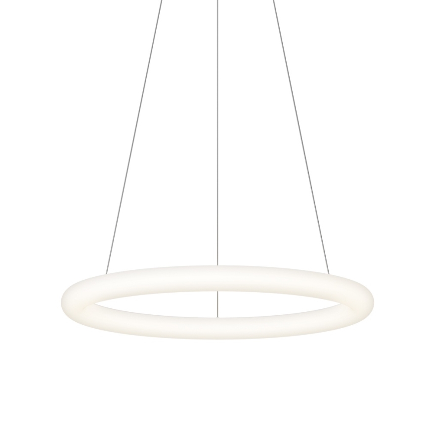 Top Light - LED prigušiva luster na sajli RINGO LED/40W/230V 3000-6500K bela + daljinski upravljač