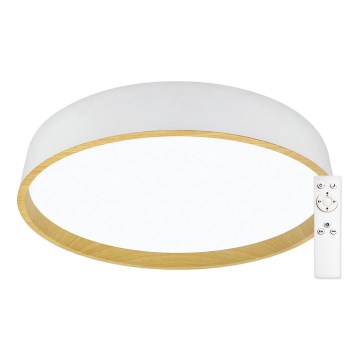 Top Light - LED prigušiva plafonska svetiljka DEKOR LED/51W/230V, prečnik 50 cm, 3000-6500K + daljinski upravljač