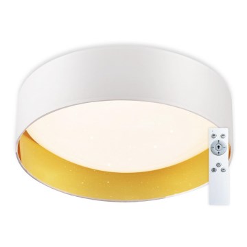 Top Light - LED prigušiva plafonska svetiljka IVONA 40B RC LED/24W/230V + daljinski upravljač bela