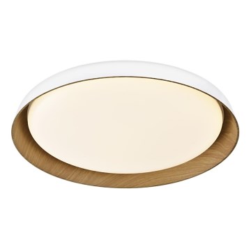 Top Light - LED prigušiva plafonsko svetlo SATELLITE LED/48W/230V 3000-6500K, prečnik 53 cm, belo/smeđe + daljinski upravljač