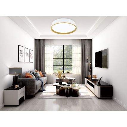 Top Light - LED prigušiva plafonska svetiljka DEKOR LED/51W/230V, prečnik 50 cm, 3000-6500K + daljinski upravljač