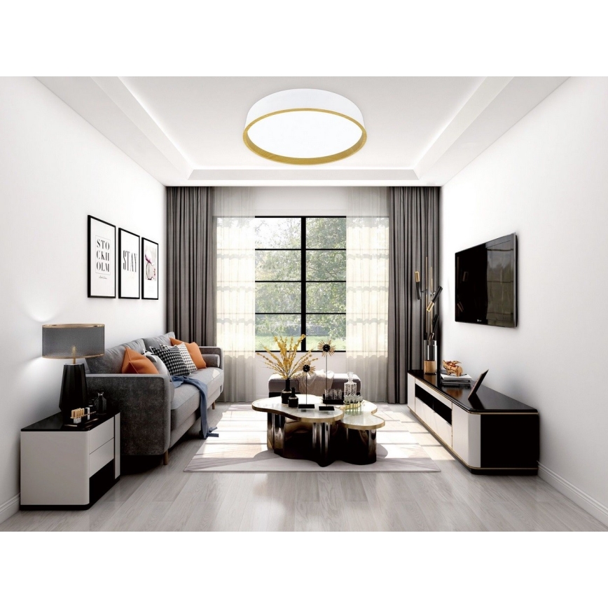 Top Light - LED prigušiva plafonska svetiljka DEKOR LED/51W/230V, prečnik 50 cm, 3000-6500K + daljinski upravljač