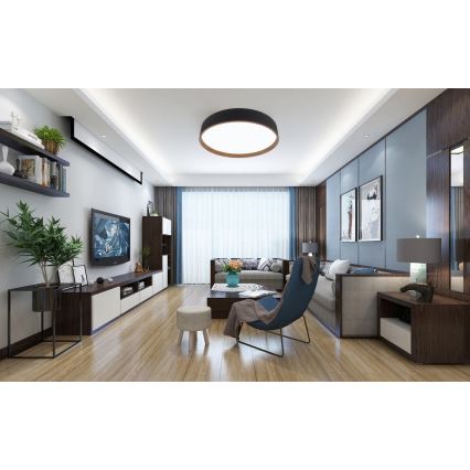 Top Light - LED prigušiva stropna svetiljka DEKOR LED/51W/230V prečnik 50 cm 3000-6500K + daljinski upravljač