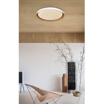 Top Light - LED prigušiva plafonska svetiljka SATELLITE LED/36W/230V 3000-6500K prečnik 43 cm bela/smeđa + daljinsko upravljanje