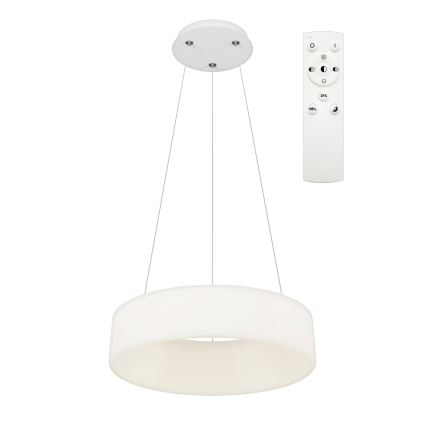Top Light - LED luster na sajli HALO, prigušiva, LED/40W/230V 3000-6500K prečnik 44 cm + daljinski upravljač