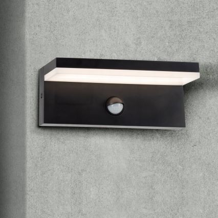 Top Light - LED spoljašnje zidno svetlo sa senzorom ELON, LED/10W/230V, 4000K, IP54