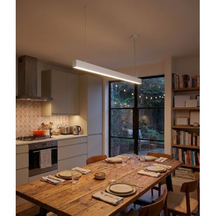 Top Light - LED stropno površinski montirano i viseće svetlo HORIZON LED/40W/230V 3000/4000/6500K bela