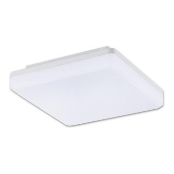 Top Light Leon H - LED Spoljašnje plafonsko svetlo LEON LED/15W/230V IP44