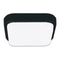 Top Light Mango H - LED spoljno plafonsko svetlo MANGO LED/18W/230V IP54