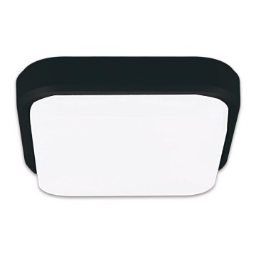 Top Light Mango H - LED spoljno plafonsko svetlo MANGO LED/18W/230V IP54