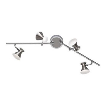 Trio - LED spot svetiljka DUKE 4xLED/4,3W/230V