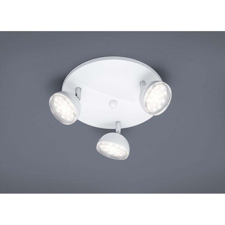 Trio - LED spot svetlo BOLOU 3xLED/3,8W/230V