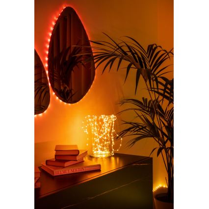 Twinkly - LED RGB prigušiva svetlosna dekoracija DOTS, 60 LED, 7 m, USB, Wi-Fi