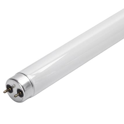 UV fluorescentna cev za lapač insekata G13/15W/230V 45 cm - Brilagi