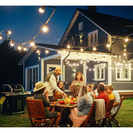 Vanišnja dekorativna girlanda MIMOSA 10xE27/1,3W/230V IP44 10 m