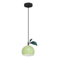 Viseći luster APPLE na kablu, 1xE27/15W/230V, zelena