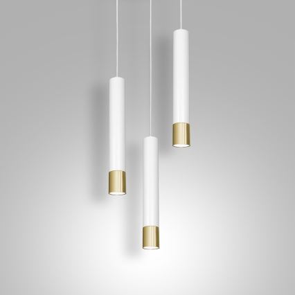 Viseći luster NEST na sajli 3xGU10/8W/230V bela/zlatna okrugao