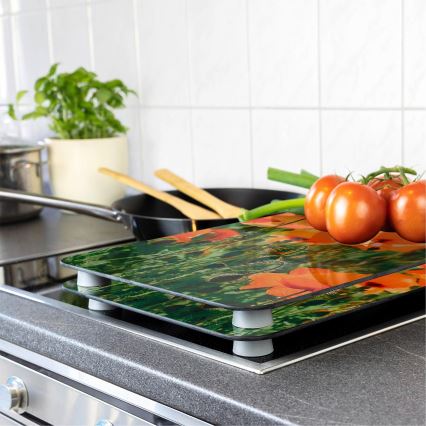 WENKO 2521434500-poklopna ploča ABDECKPLATTE - cvet/biljka 30x52 cm šarena