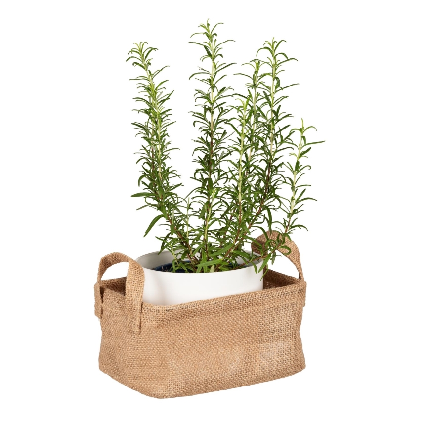 WENKO 64470100 - Koš JUNA 20x15 cm braon