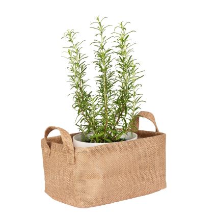 WENKO 64471100 - Korpa JUNA 24x17 cm braon